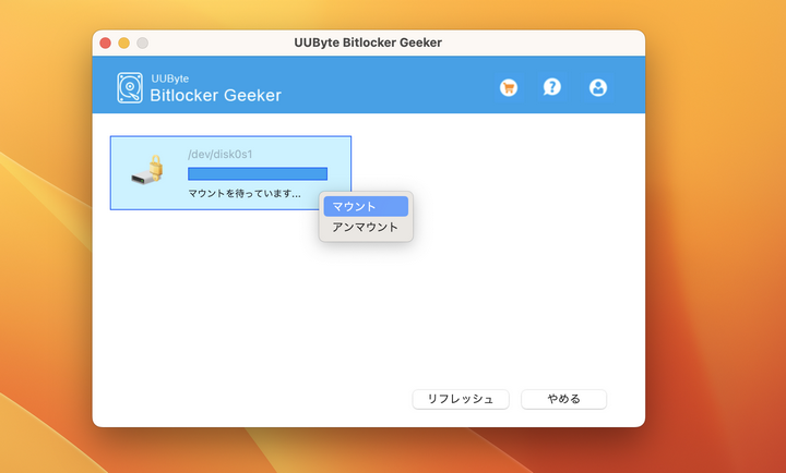 bitlocker geeker start to mount