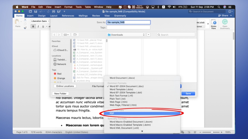 How to convert a Word file into PDF with MS Word