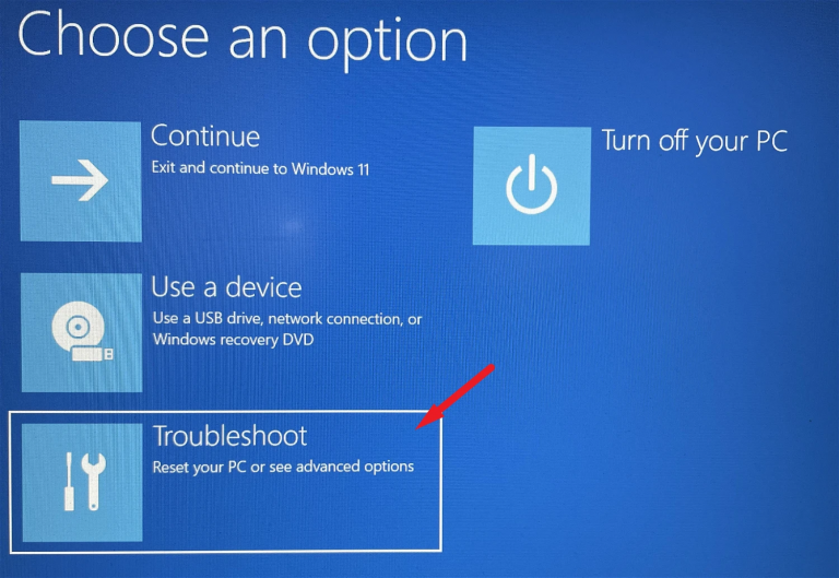 Windows 11 