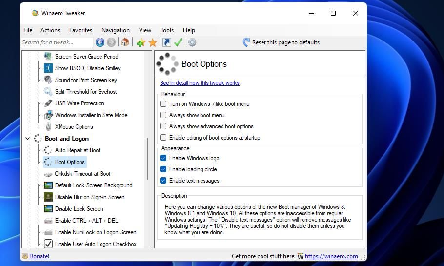 Boot Options in Winaero Tweaker 