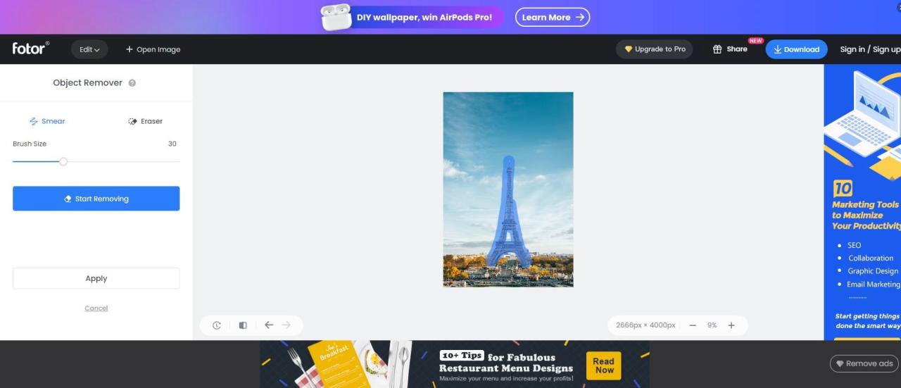 A Screenshot of Removing an Object From an Image Using Fotor