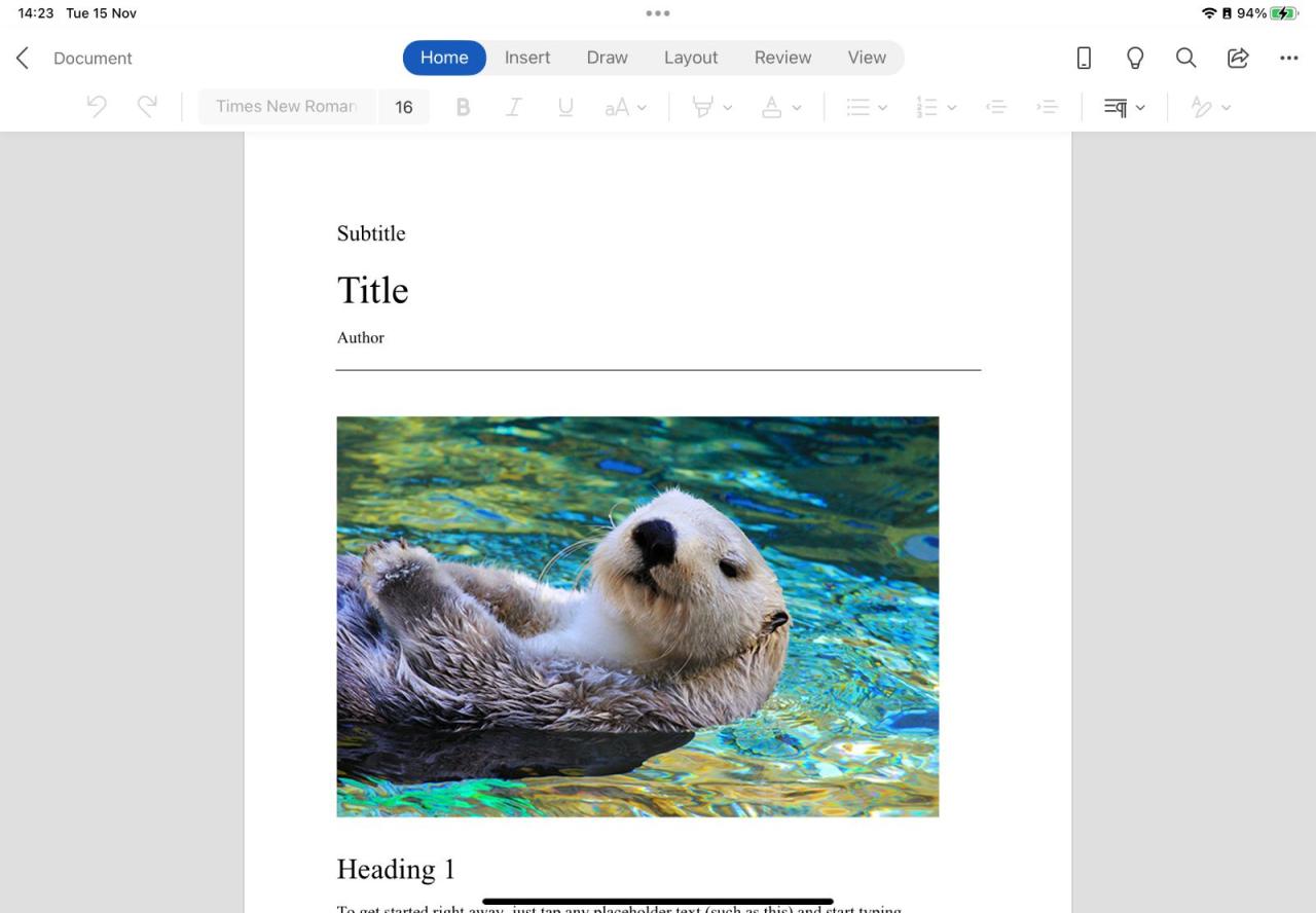 Microsoft Word on iPad