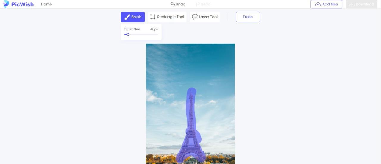 A Screenshot of Removing an Object From an Image Using PicWish