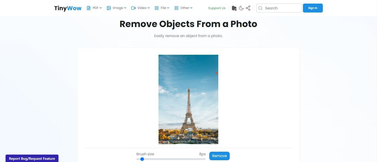 A Screenshot of Removing an Object From an Image Using TinyWow