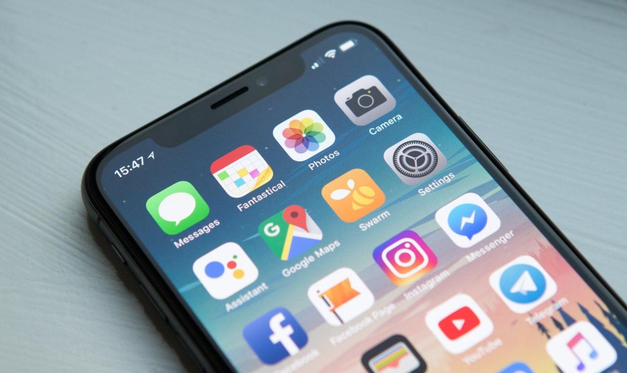 The app grid on an iPhone