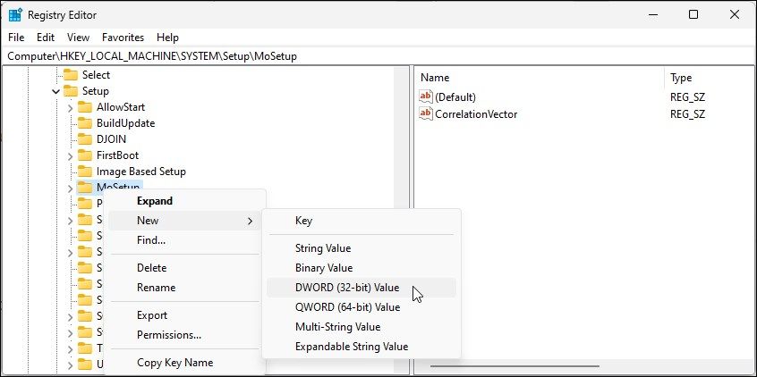 registry editor mosetup new value bypass windows 11 restriction