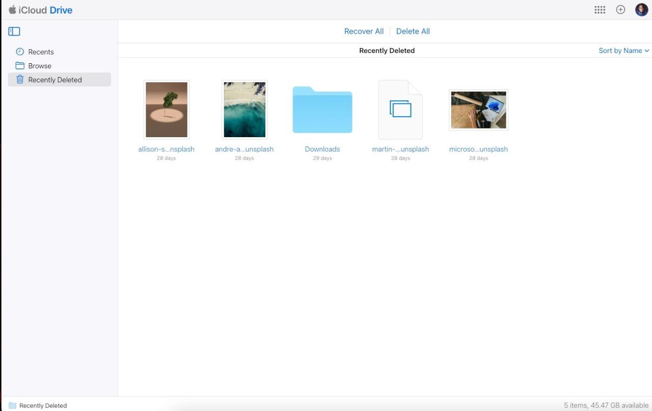 Recently deleted folder in iCloud Drive for Web