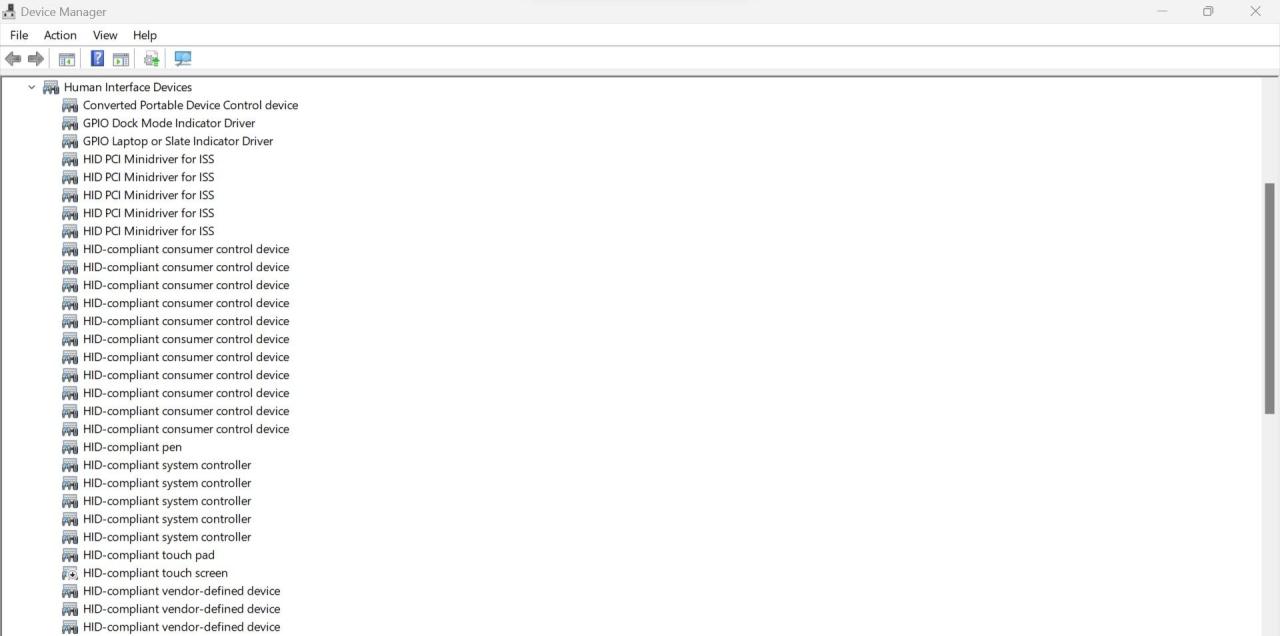 Expanding the Human Interface Devices Category in Windows Device Manager