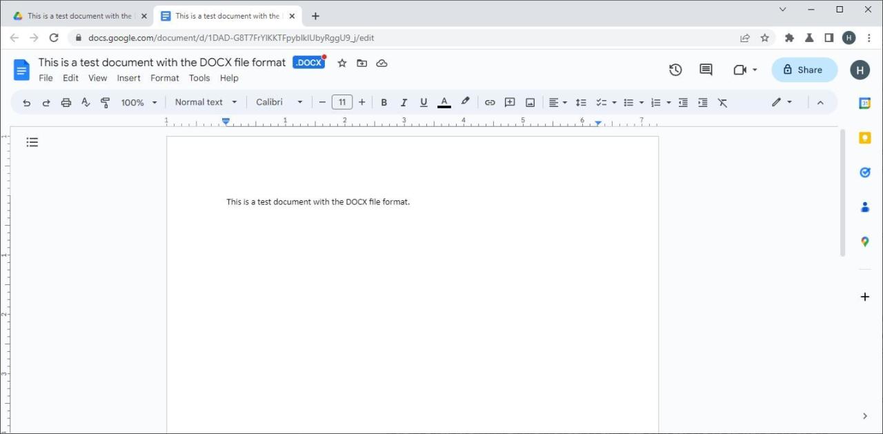 A Screenshot of Google Docs in Use