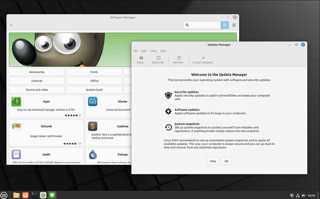 Software Manager and software updater on Linux Mint