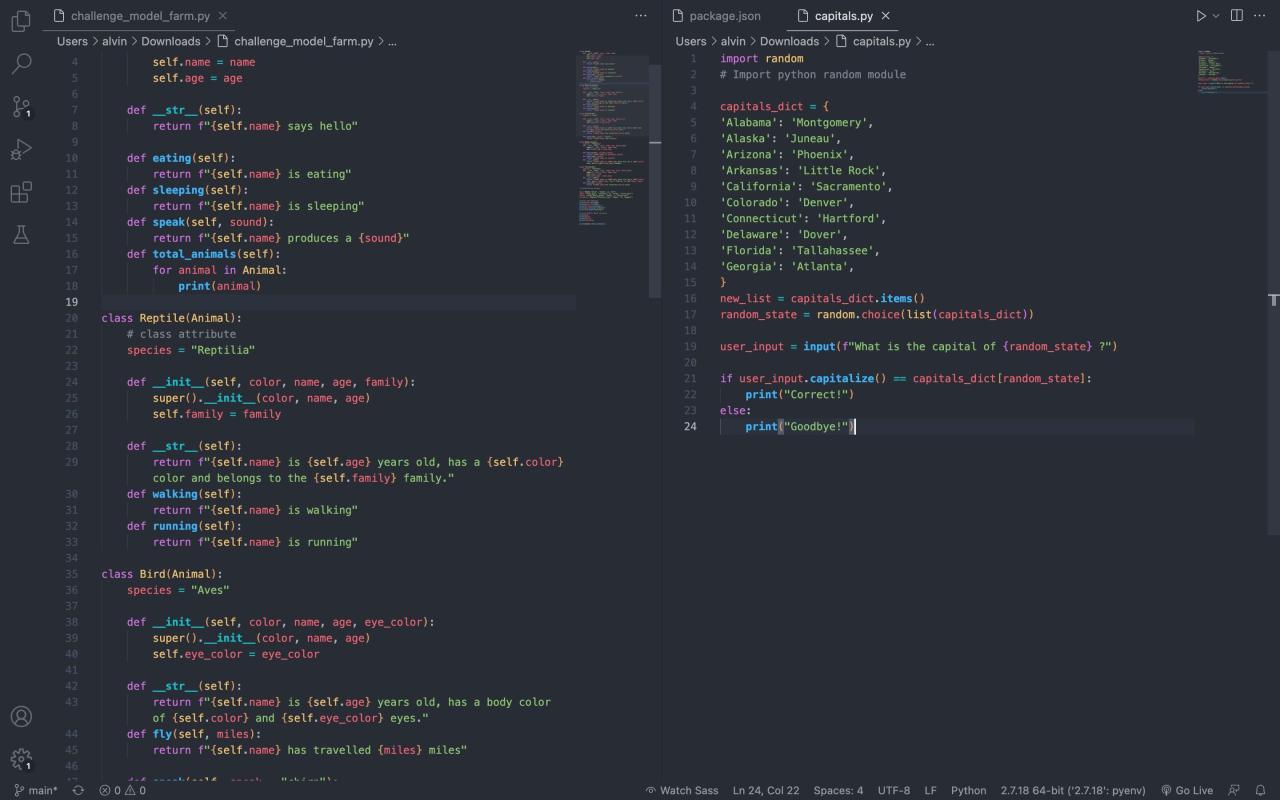 One Dark Pro VS Code theme