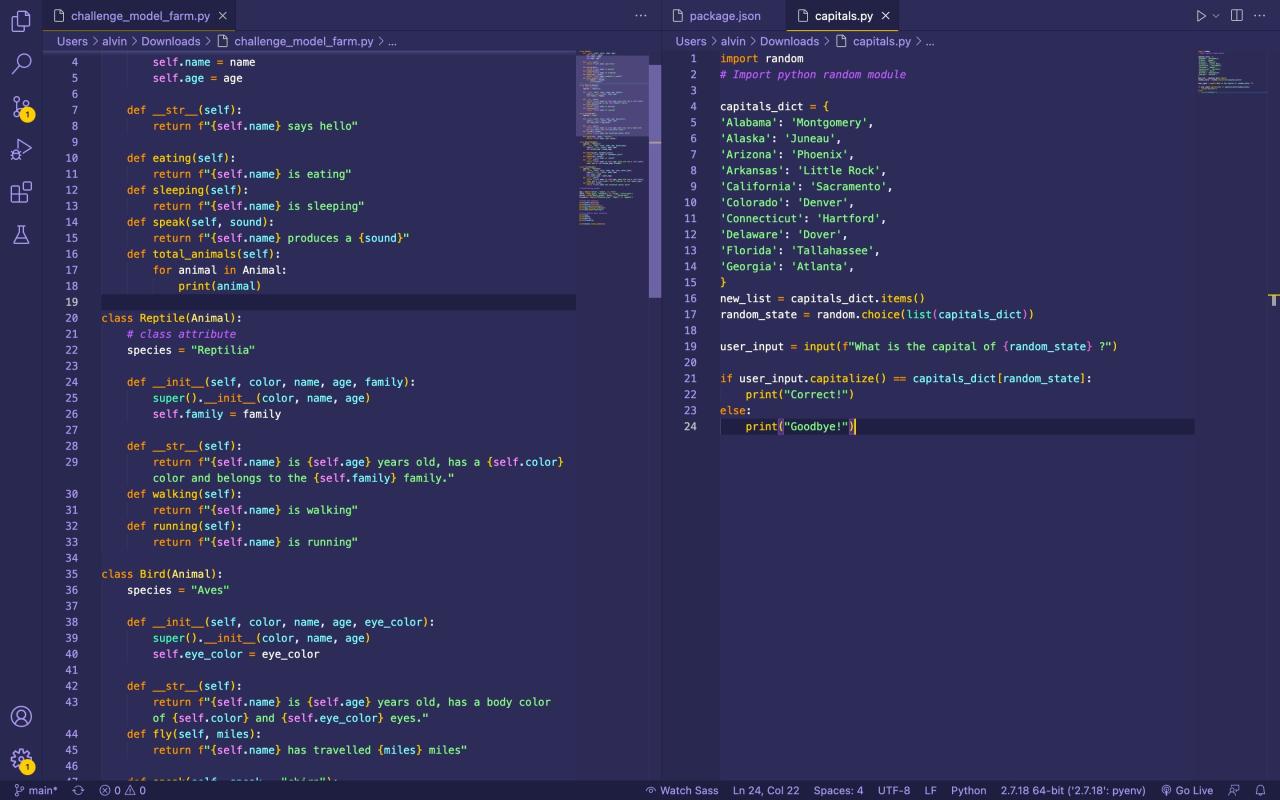 Shades of Purple VS Code theme