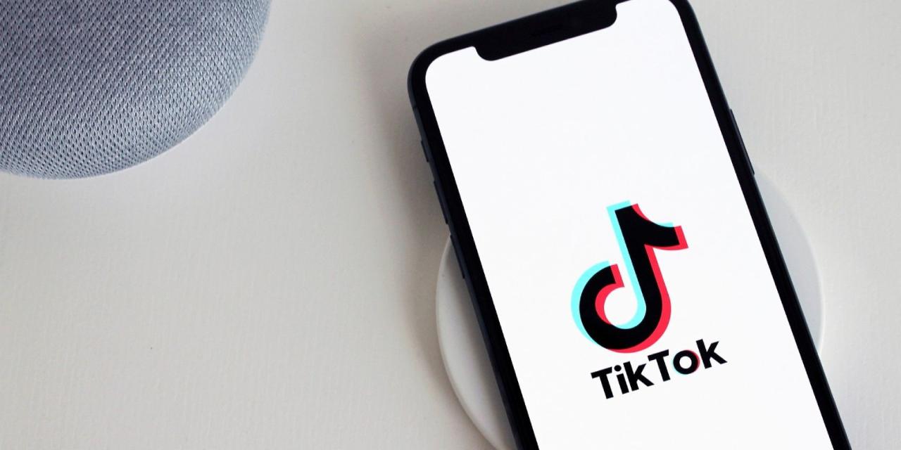 TikTok App on iPhone