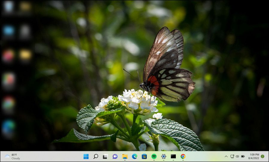 botanical-garden-theme