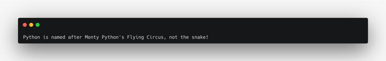 Python name after the person terminal output