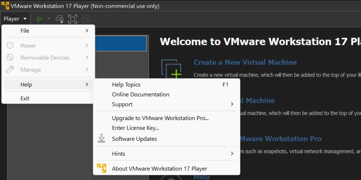Update VMware