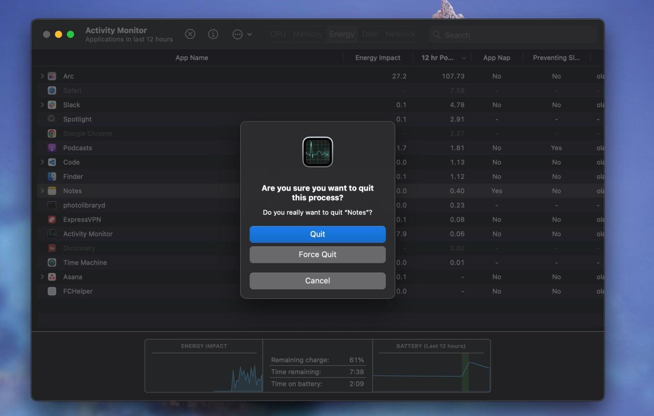 Activity Monitor in macOS