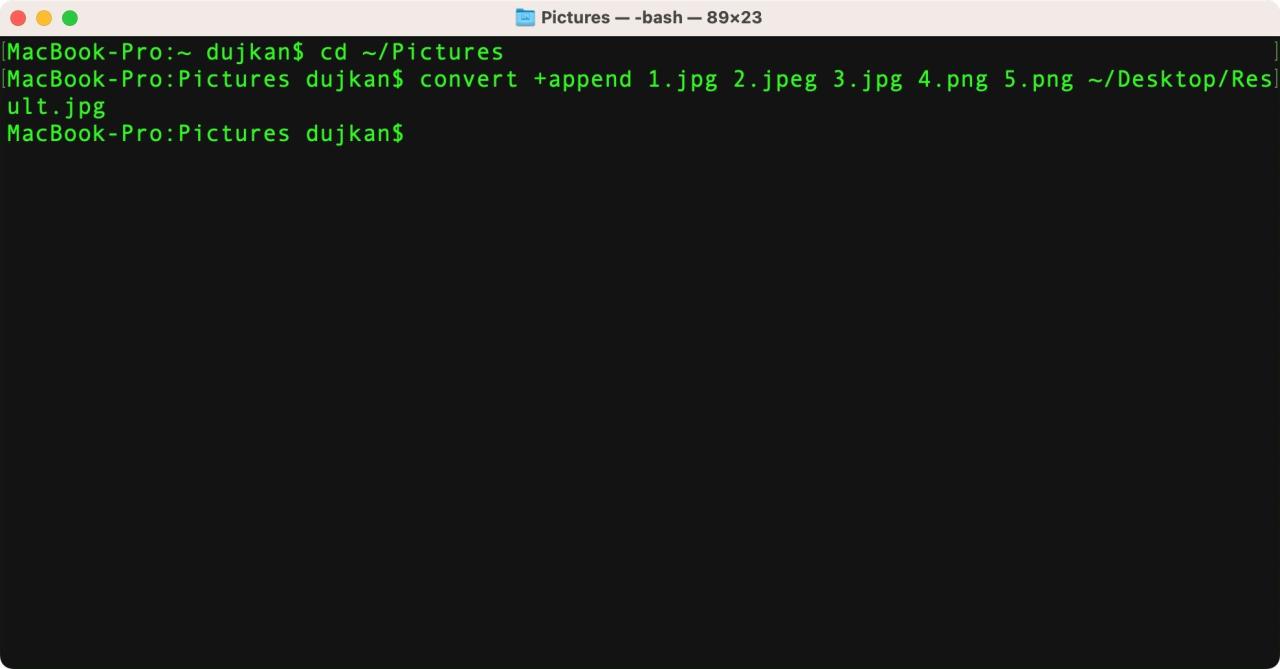 macOS Terminal window showing the output of ImageMagick\'s convert image command