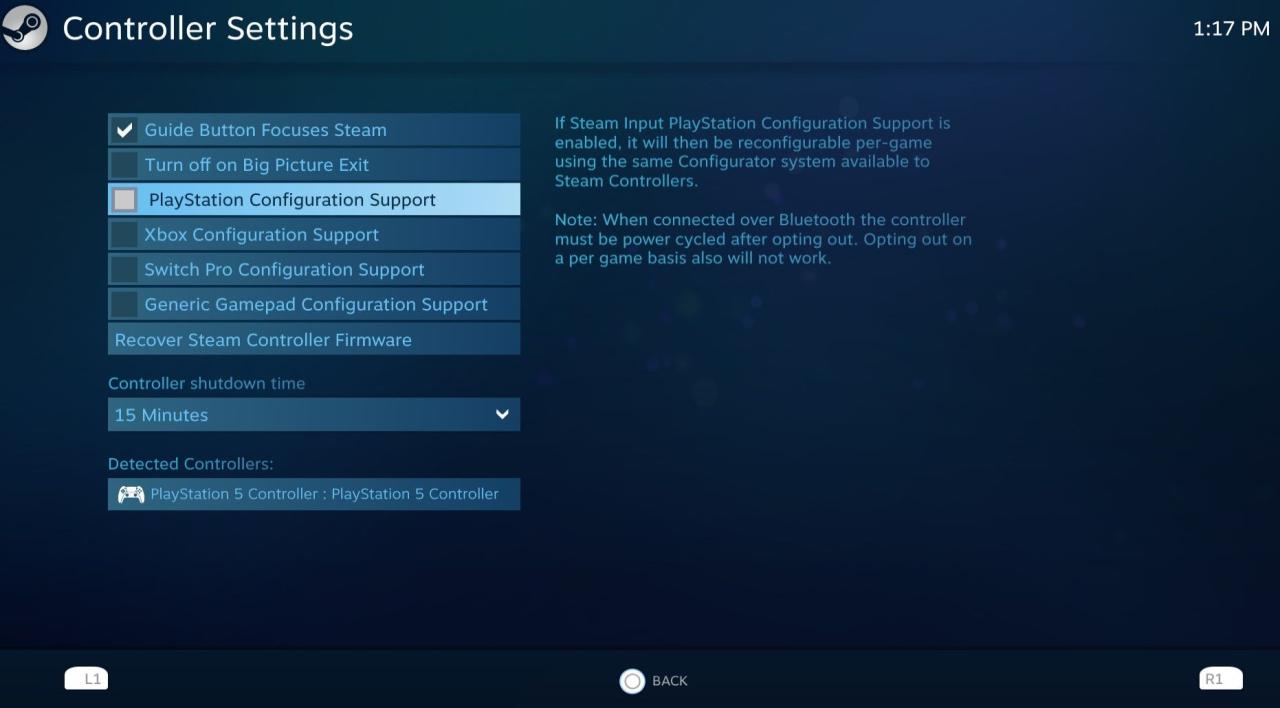 Controller settings in Steam